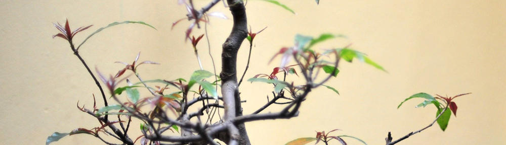 Mathematically Educated